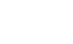 AOM Holding